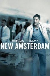 New Amsterdam New Amsterdam