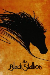 The Black Stallion The Black Stallion