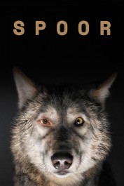 Spoor Spoor