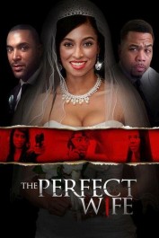 The Perfect Wife The Perfect Wife