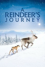 A Reindeer's Journey A Reindeer's Journey
