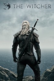 The Witcher The Witcher