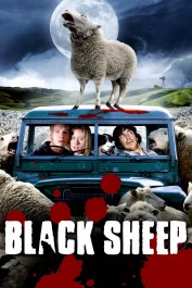 Black Sheep Black Sheep