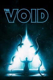 The Void The Void