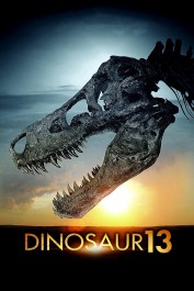 Dinosaur 13 Dinosaur 13
