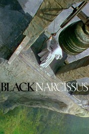 Black Narcissus Black Narcissus
