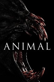 Animal Animal
