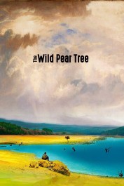 The Wild Pear Tree The Wild Pear Tree